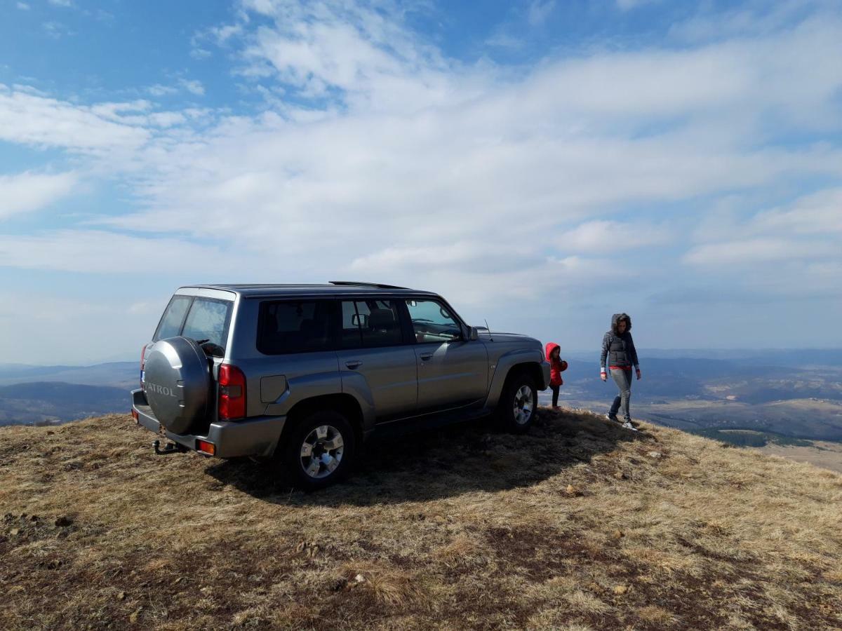 Zlatibor Brvnara Mir Villa Buitenkant foto